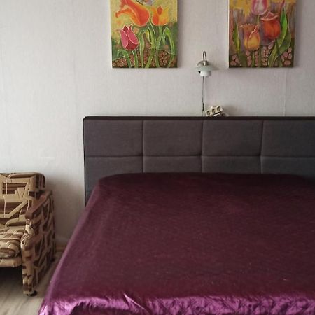 Mama Apartman Kaunas Kültér fotó