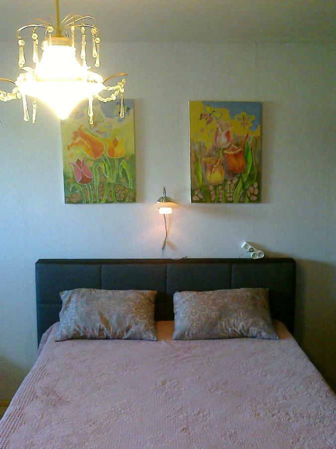 Mama Apartman Kaunas Kültér fotó